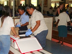 Inspecting passenger baggage for biosecurity risk material